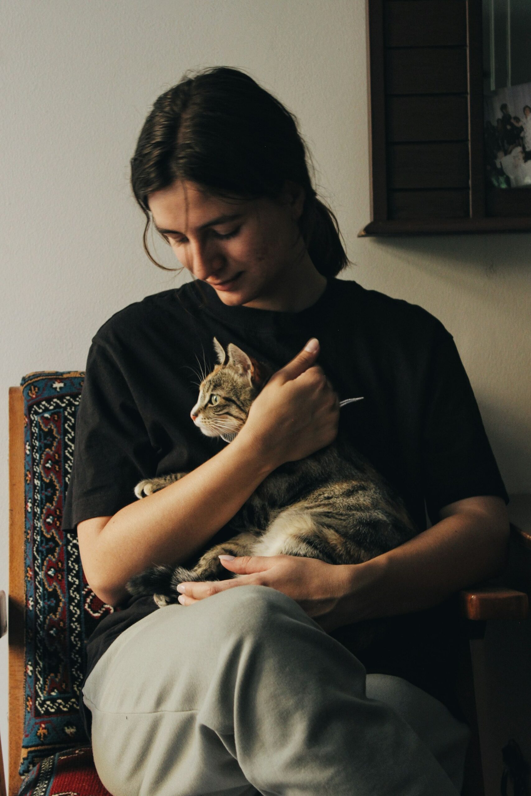 Person holding their tabby cat close at home