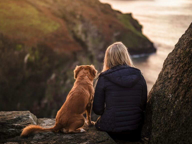 Emotional Support Animal for Anxiety: How It Helps and How to Qualify