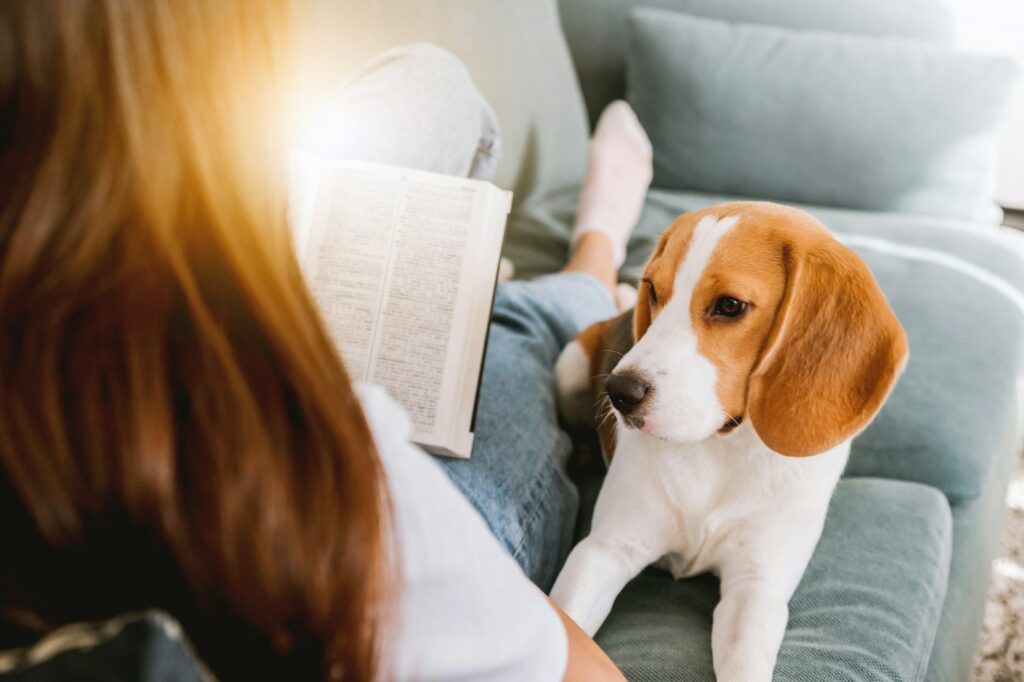 Woman relaxing on a couch with her beagle at home