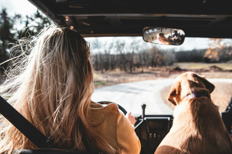Traveling With an Emotional Support Animal: Hotels, Vacation Rentals and Road Trips