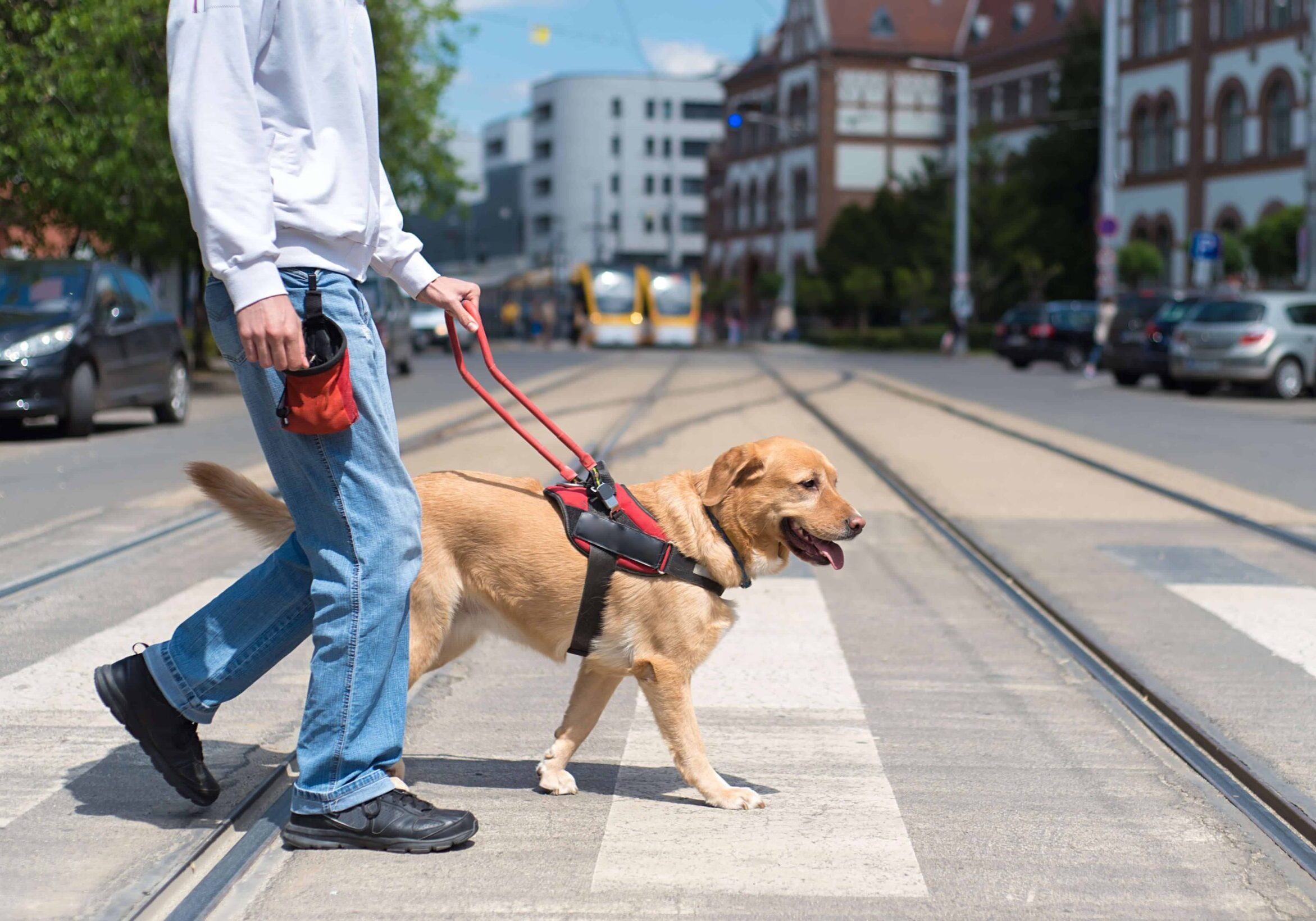 AdobeStock_151207203-scaled