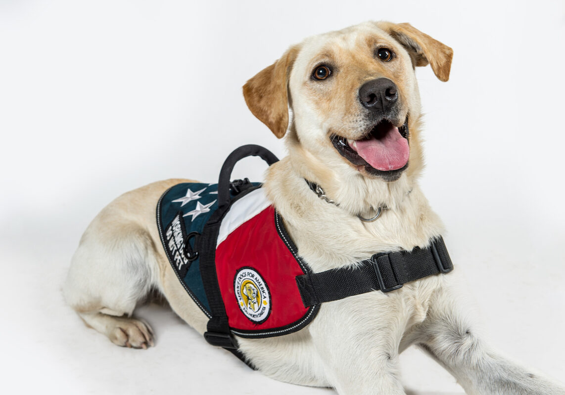 ServDogs17_34©UTM2017-Princess-Website
