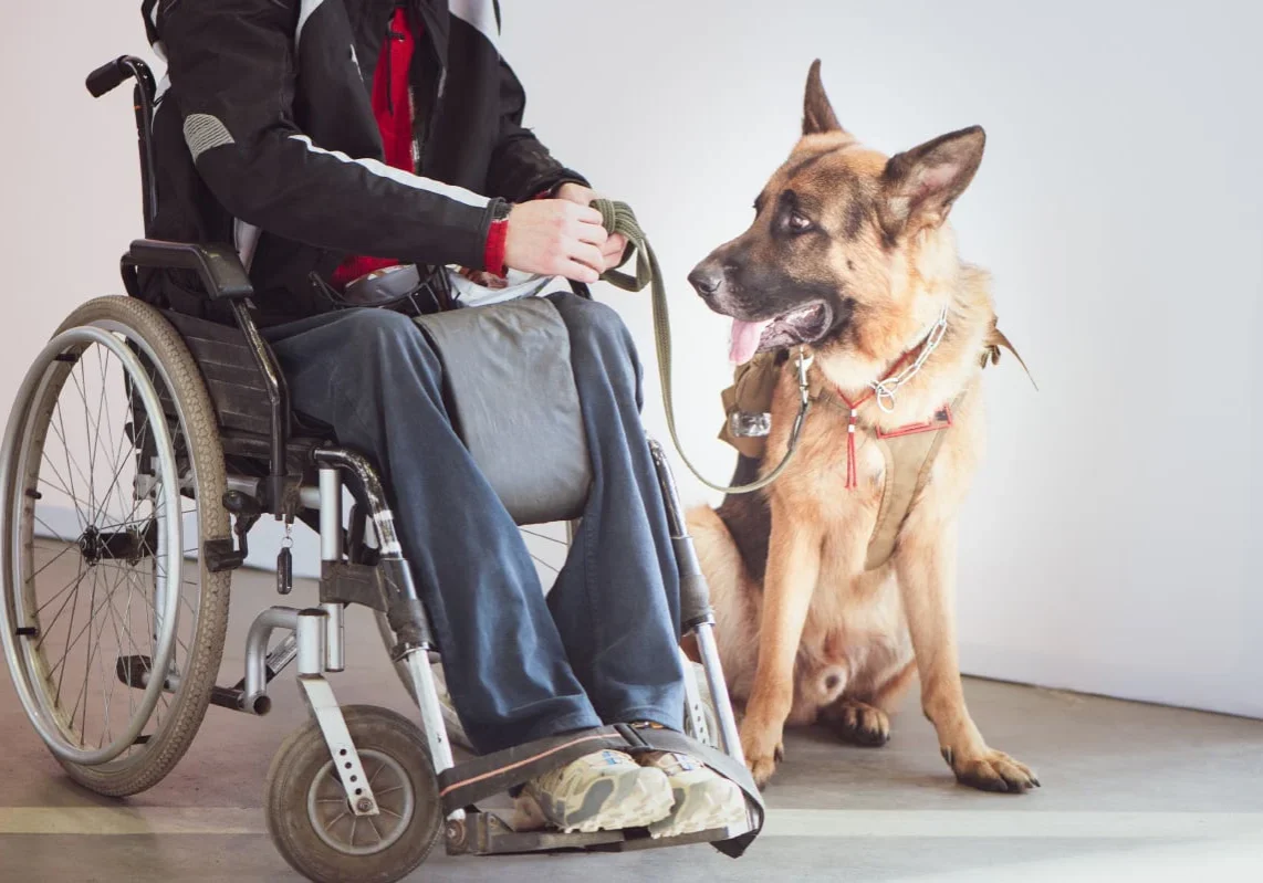 Service_and_Support_Animals__What_Policy_Is_Right_for_Your_Organization