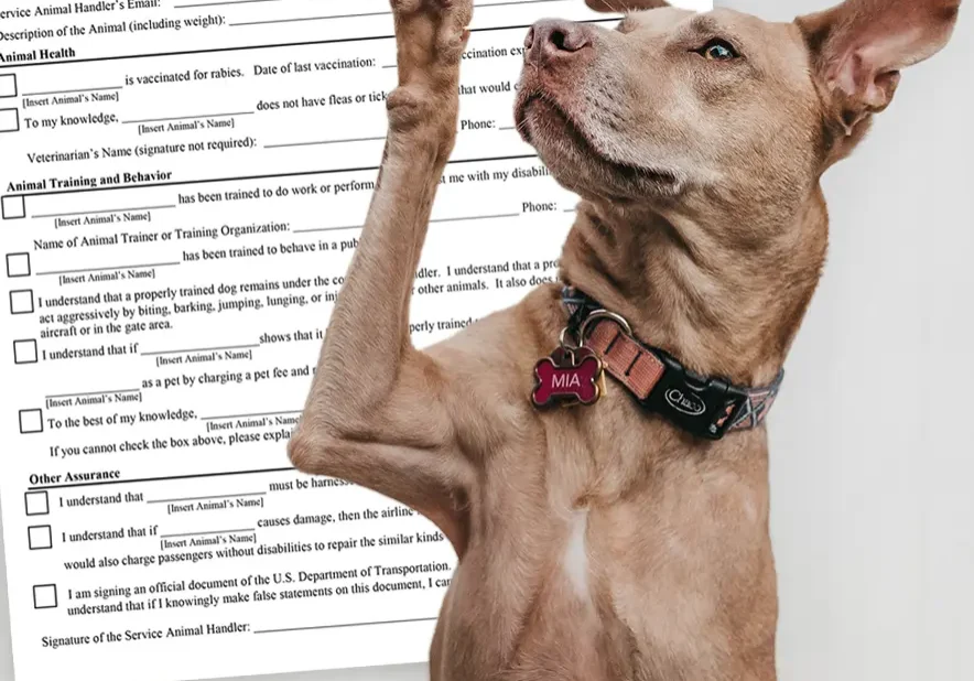 service-dog_how-to-use-dot-service-animal-form